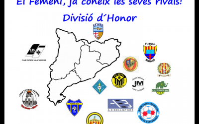 FEMENI SENIOR| Composició Divisió Honor 2017/2018