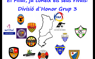 FILIAL | Composició Grup 3 Divisió Honor 2017/2018